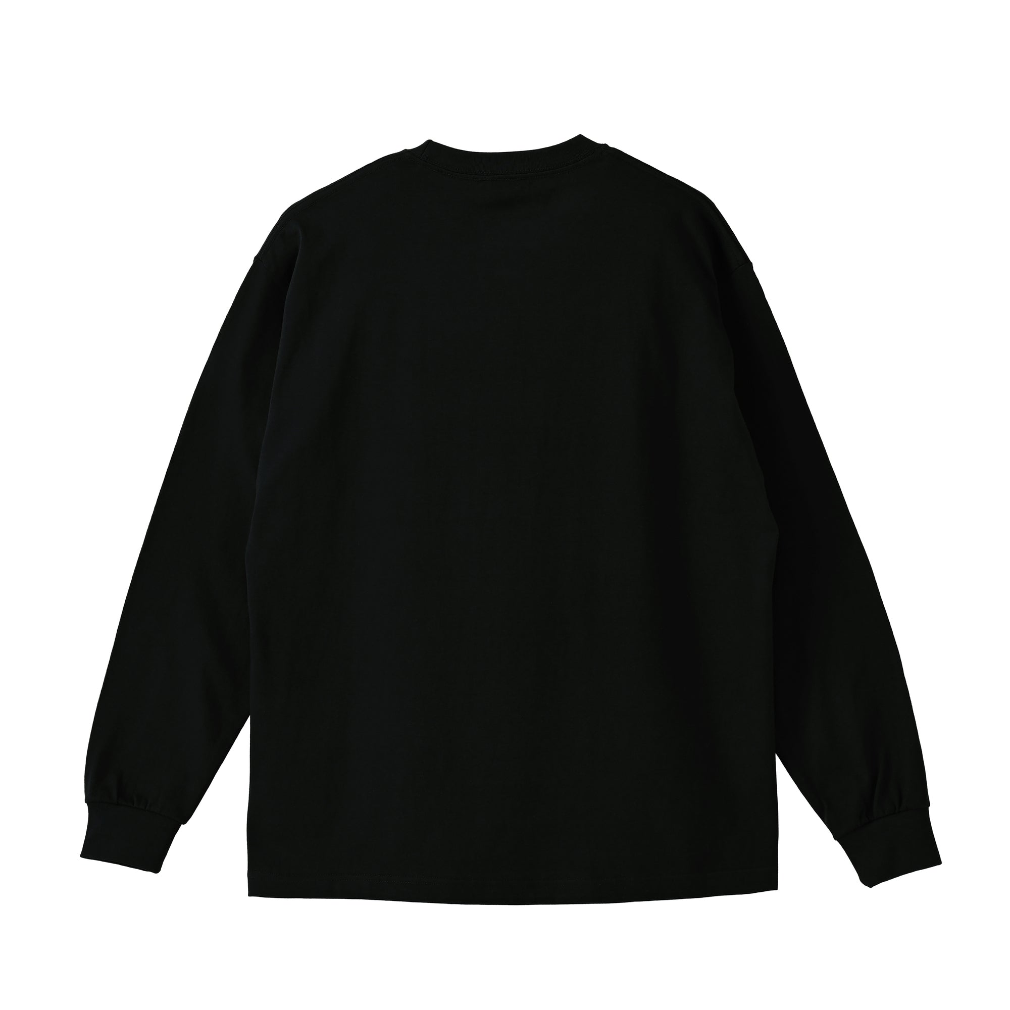 ロングスリーブTシャツ薄手 刺繍 "シュナウザー ブラック&シルバー" black image