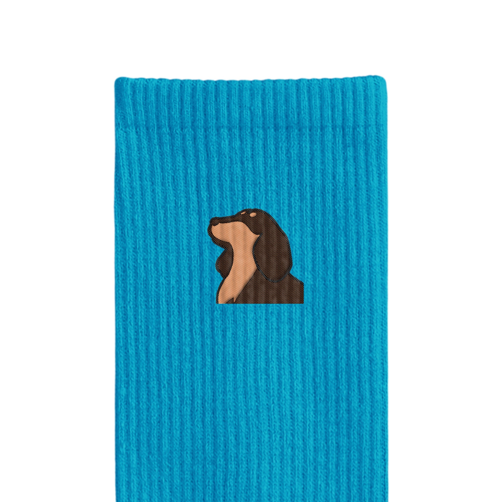 リブソックス ワンポイント刺繍 "ダックス チョコタン" blue image