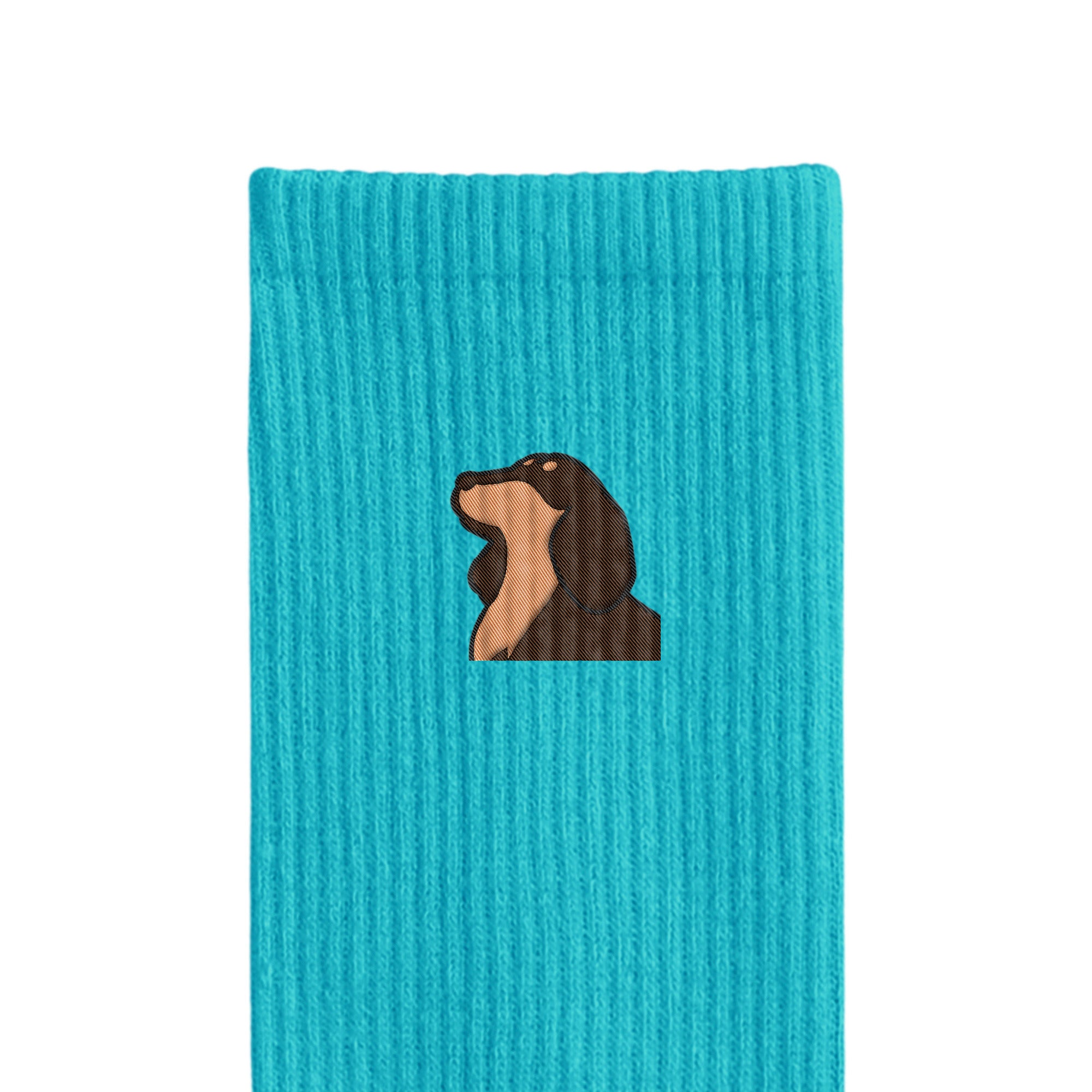 リブソックス ワンポイント刺繍 "ダックス チョコタン" light-blue image