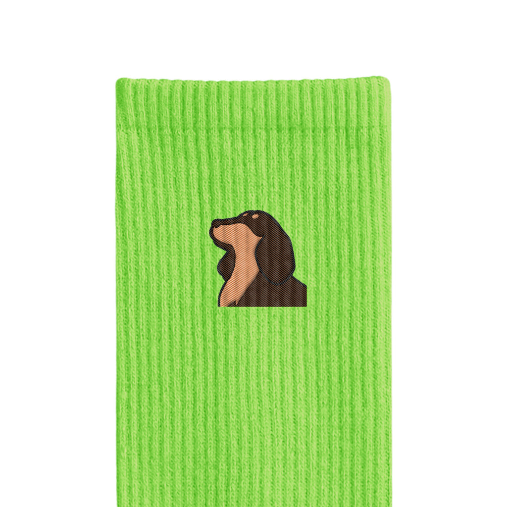 リブソックス ワンポイント刺繍 "ダックス チョコタン" light-green image