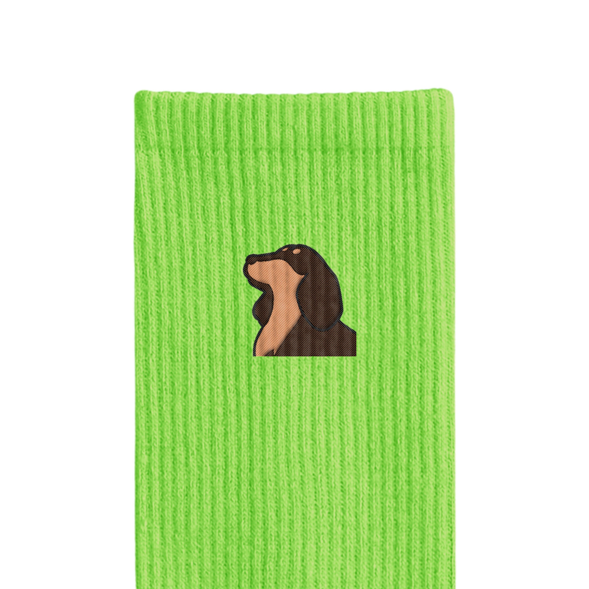 リブソックス ワンポイント刺繍 "ダックス チョコタン" light-green image