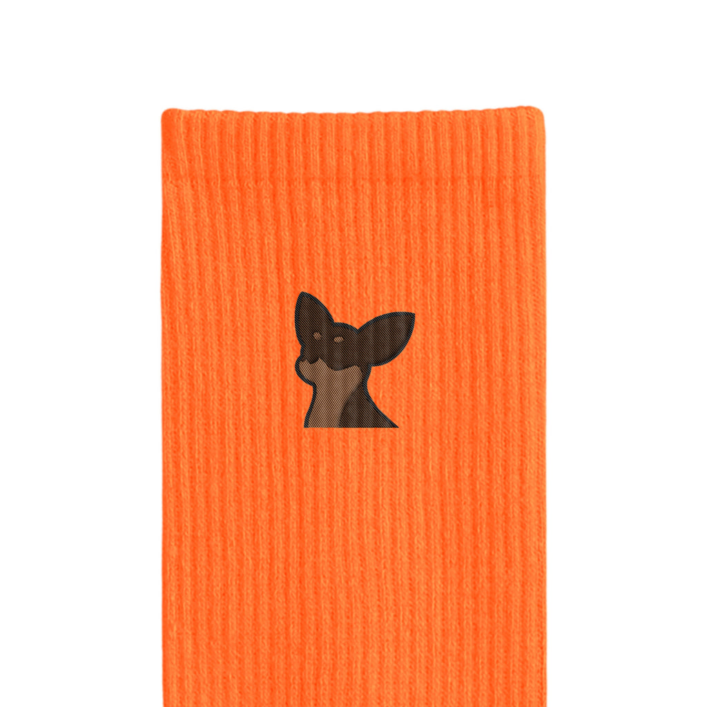 リブソックス ワンポイント刺繍 "チワワ チョコタン" orange image