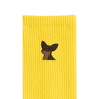 リブソックス ワンポイント刺繍 "チワワ チョコタン" yellow image