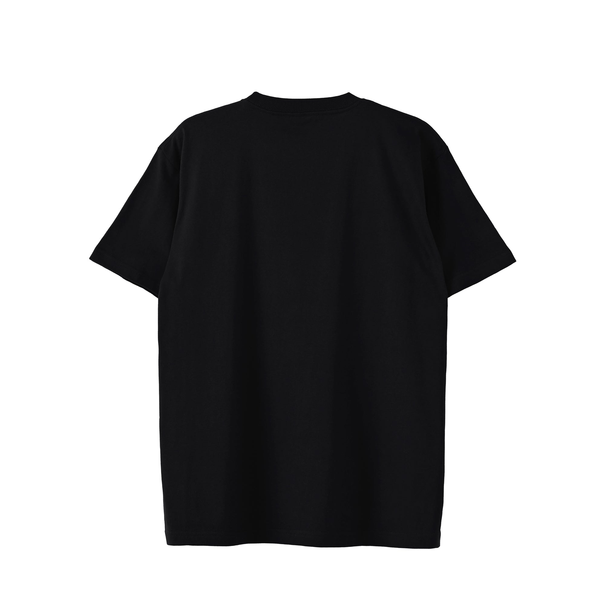 Tシャツ "シュナウザー ホワイト" black image