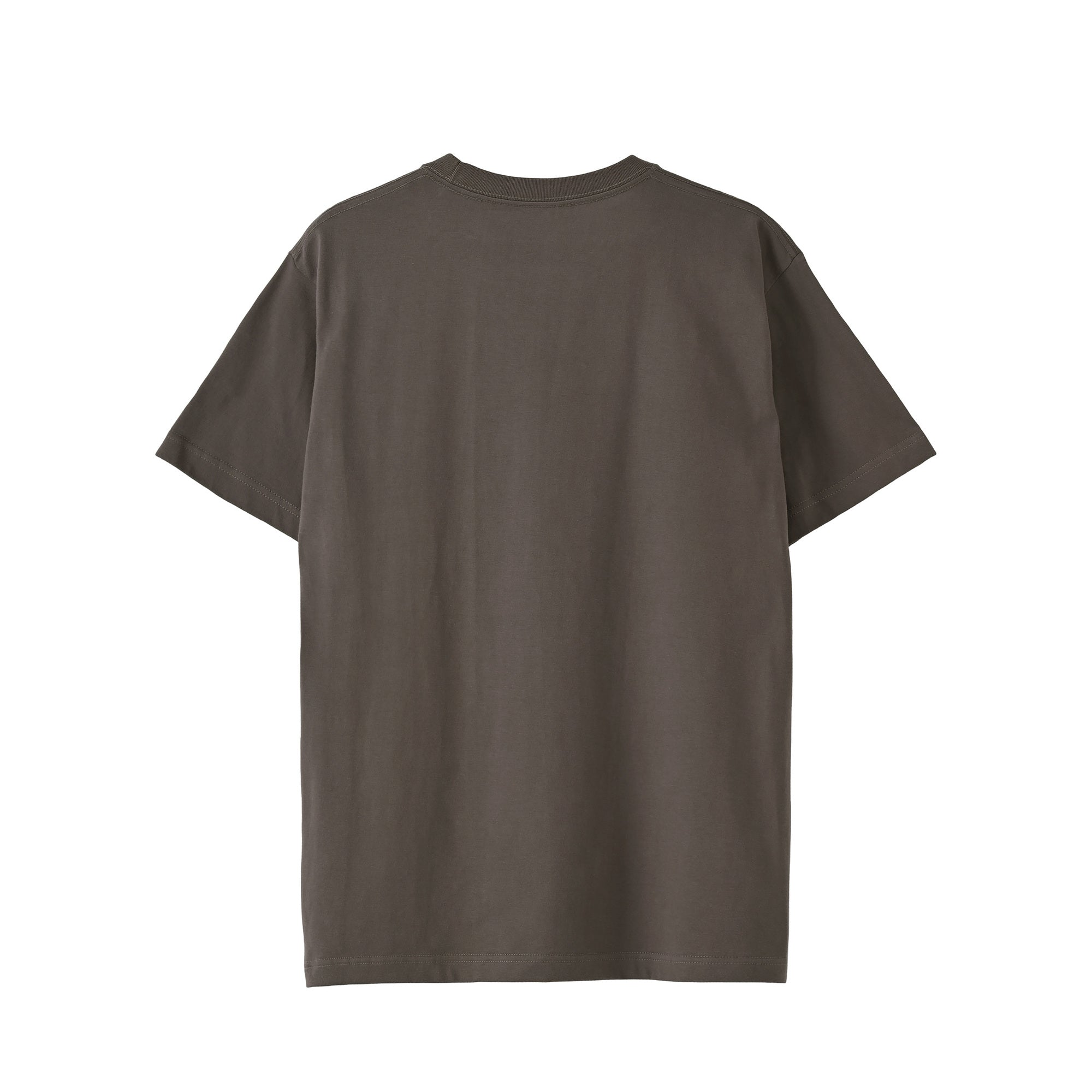 Tシャツ "シュナウザー ソルト&ペッパー" charcoal image
