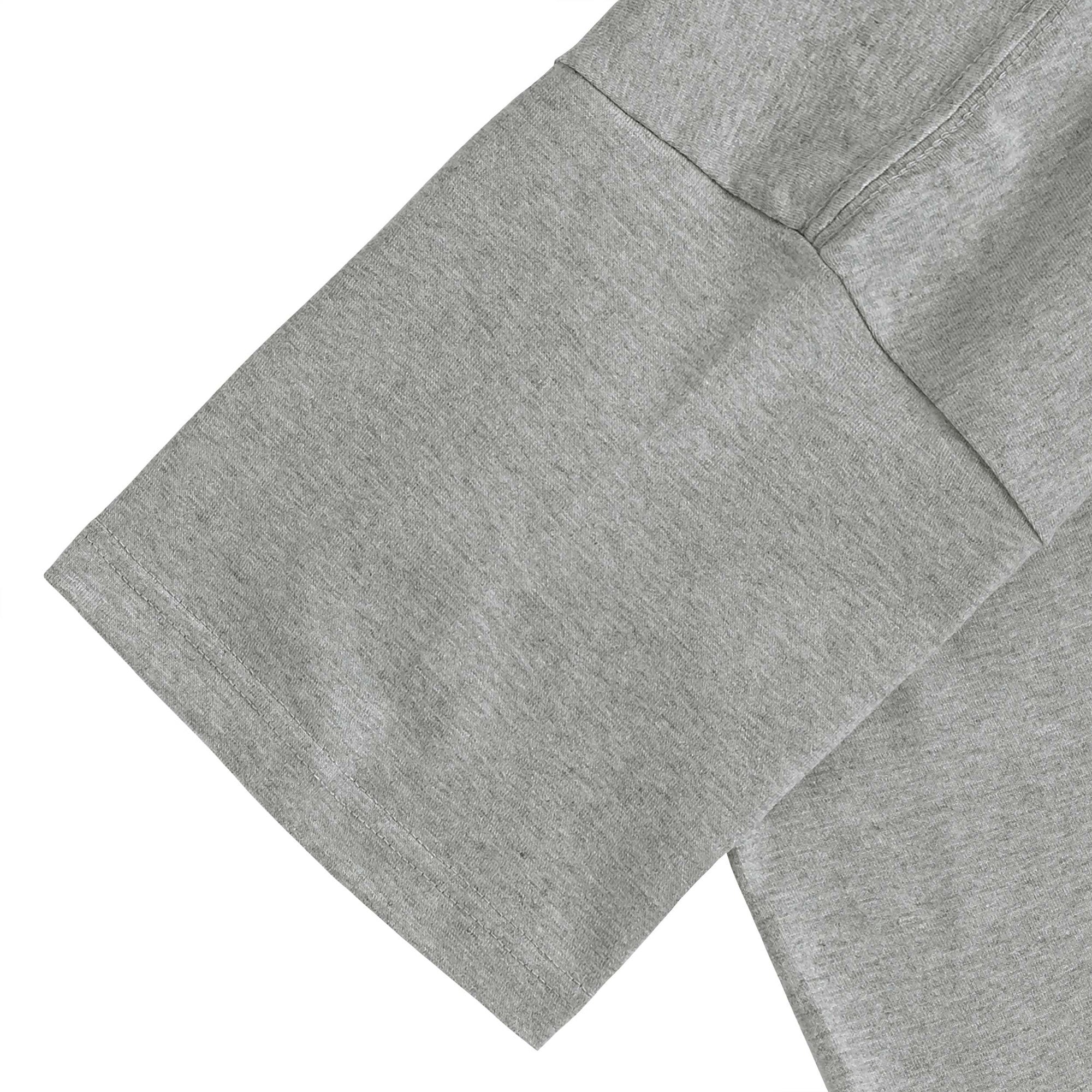 Tシャツ "シュナウザー ソルト&ペッパー" gray image